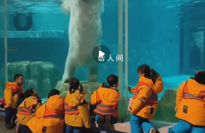 北極熊為小沙糖桔表演擦玻璃 圍著北極熊嘰嘰喳喳