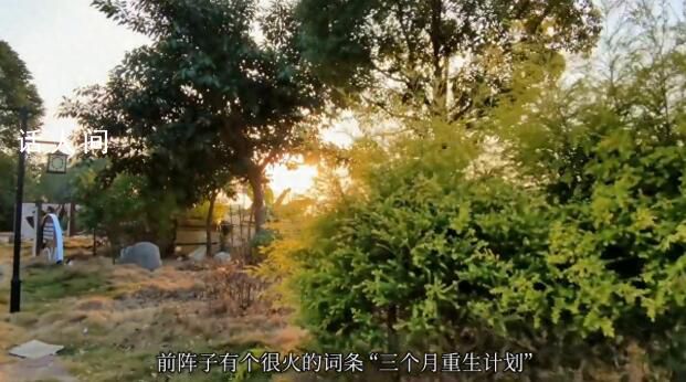 2024年才過了第一周的我 你們新年的第一周是怎么度過的