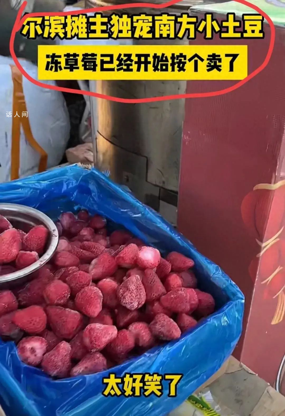 哈爾濱凍草莓都開始按個賣了 獨寵南方小土豆
