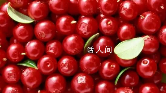 向爾濱的回禮引發(fā)全國特產(chǎn)大摸底 各地有哪些反差感