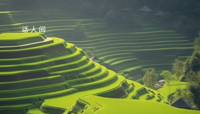 2024年國際所有節日有哪些 2024年全部國際節日明細大全