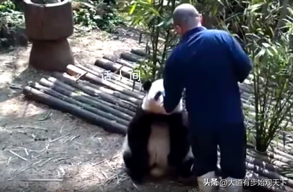 譚爺爺收到春晚觀眾席邀約 龍年春晚譚爺爺果賴?yán)?></em><span>譚爺爺收到春晚觀眾席邀約 龍年春晚譚爺爺果賴?yán)?/span></a></li>
                                                
            </ul>
        </div>
        <!--相關(guān)閱讀 end-->

        <!--為您推薦 start-->
        <div   id=