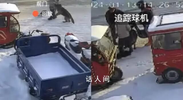 女子遛狗被惡犬咬傷 狗主人拒不賠償