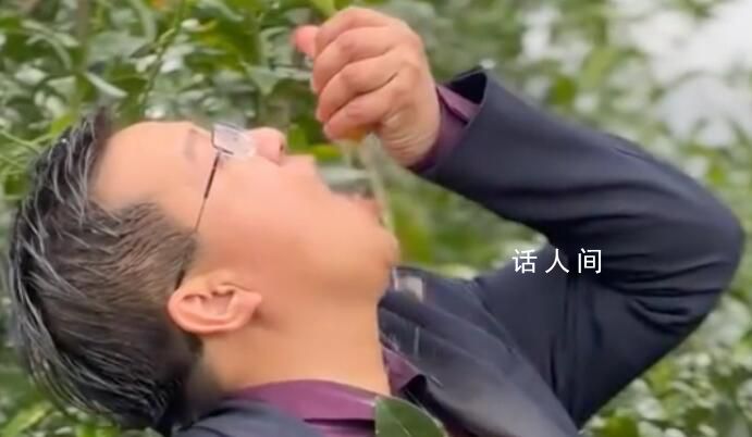 廣西武鳴沃柑“橘長”魔性宣傳 廣西武鳴一網友為宣傳沃柑拍攝了一組魔性視頻