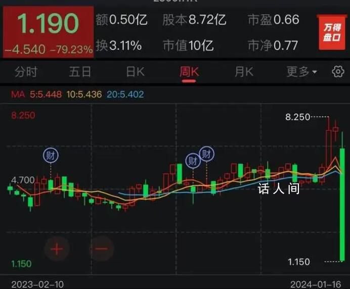 樂華股價暴跌 該股跌近80%