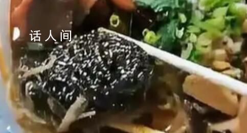 顧客稱點外賣吃出鋼絲球 商家回應(yīng)