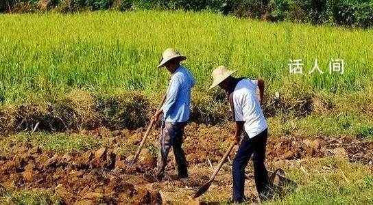 為什么年輕人不愿意種地?官方調(diào)研
