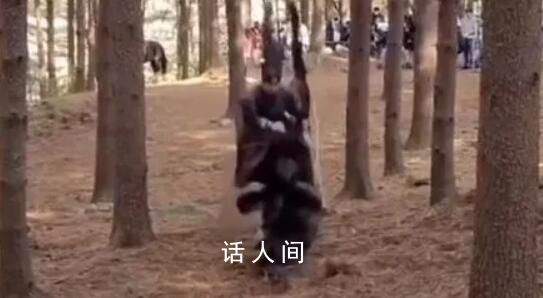 韓國(guó)劇組虐馬致死被罰 處以KBS電視臺(tái)及相關(guān)工作人員罰金