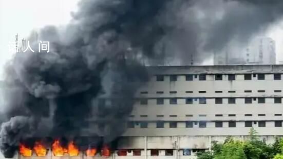 致13死火災學校業務類型為小學教育 事故造成13人遇難1人受傷