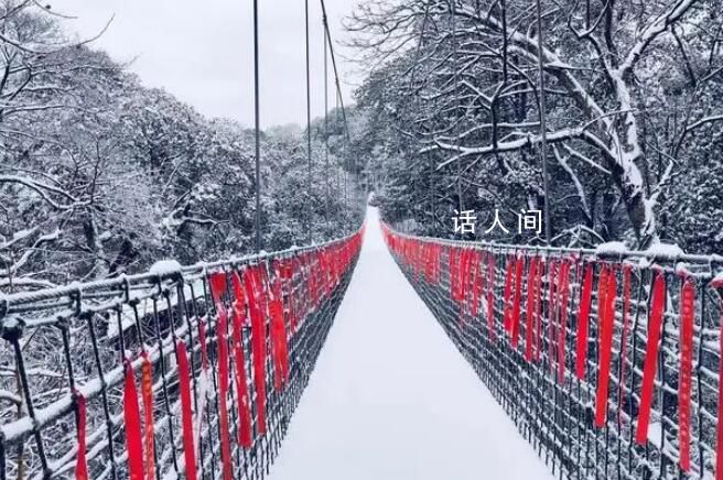 四川蒙頂山景區“一夜白頭” 千畝茶園千年古樹都已換上了銀裝