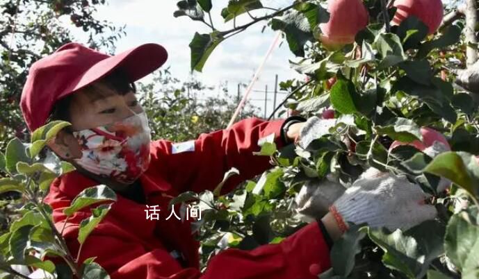 行走百縣話振興 吳起煥發別樣生機