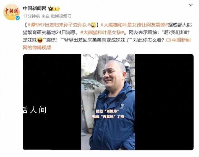 大熊貓和葉是女孩 為什么大熊貓的性別難識別