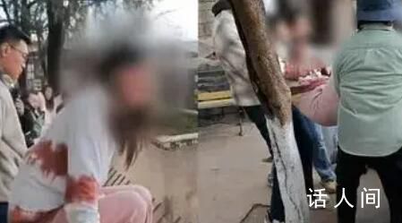 女子欲跳入猴山救貓被游客救下 昆明動物園猴貓共處現(xiàn)象源起2013年