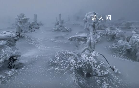 男子獨自上山看雪發現“冰封秘境” 仿佛置身于一個童話般的世界