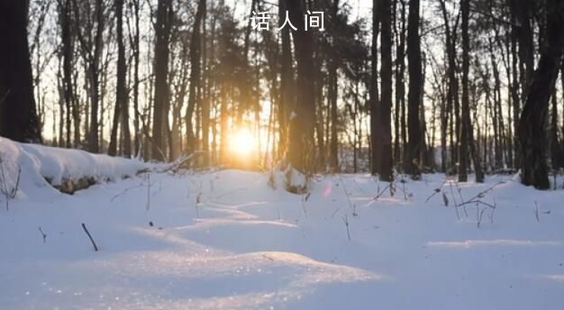 小伙玩雪次日失明確診雪盲癥 什么是雪盲癥