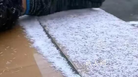 安徽一女子拍下罕見“冰針”雪 專家稱：是針狀雪學(xué)名冰針