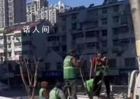 官方回應環衛工人用毛巾擦樹枝 園林工人是在處理紫薇樹的煤污病
