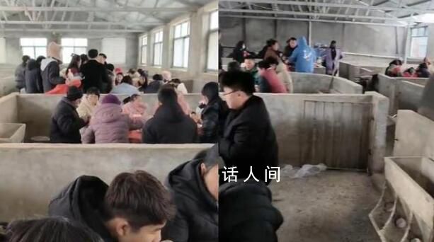 婚宴遇大雪賓客在豬圈里吃席 主家是干養豬場的豬圈里都掃得干干凈凈