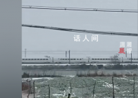 第一次見高鐵10碼速度緩慢行駛 當事人：這場雪都把高鐵干成10碼速度