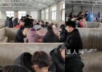 婚宴遇大雪賓客在豬圈里吃席 主家是干養豬場的豬圈里都掃得干干凈凈