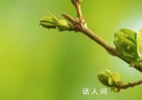 兔年的第二個立春來了 為什么會有兩個立春