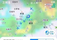 武漢飛成都航班80%延誤或取消 機(jī)場(chǎng)相關(guān)航班信息還在變化