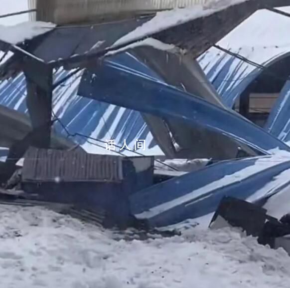 積雪壓塌菜市場已救出6人 生命體征均平穩