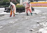 一場凍雨大雪為何壓斷了那么多樹 北方與南方的雪有何不同?