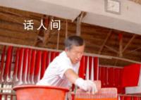 年產值上億的春聯村背后 今這里年產年俗紙制品超8000噸