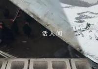 8萬只雞因積雪壓塌大棚被埋 損失約140萬