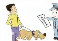 最高法:禁養的烈性犬傷人 犬主全責