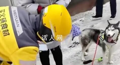 路面結冰小哥帶哈士奇送外賣 網友：這只狗的狗糧都是自己賺來的