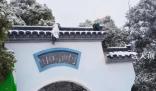 武漢暴雪兩只孔雀被凍在墻頂 已成功救下孔雀狀態良好