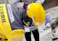 路面結冰小哥帶哈士奇送外賣 網友：這只狗的狗糧都是自己賺來的