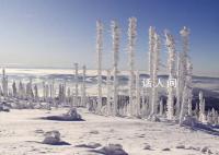 極端雨雪天氣是否快結束?官方回應
