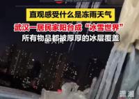 武漢一居民家陽臺成