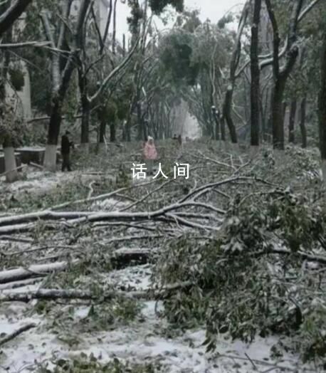 湖北人上班像叢林探險(xiǎn) 一場(chǎng)突如其來(lái)的凍雨讓湖北人變得舉步維艱