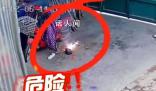 狗子看到電動車充電起火1秒出擊 將電線咬斷