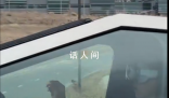 美國一司機頭戴“空間計算”設備開車 雙手脫離方向盤
