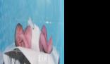 35歲寶媽花20萬6年生3個試管嬰兒 結婚后備孕三年都沒動靜