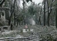 湖北人上班像叢林探險 一場突如其來的凍雨讓湖北人變得舉步維艱
