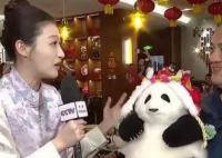花花是春晚最小的觀眾 譚爺爺帶著花花上春晚