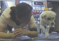 陪賈玲訓(xùn)練的狗是拍李煥英時(shí)撿的 樂(lè)瑩微信頭像都是它