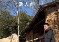 回村后的董宇輝生活有多愜意 喂牛抓魚還順走小孩哥的鞭炮