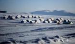 蒙古國進入防災(zāi)高度戒備狀態(tài) 極寒冰雪天氣已致蒙古國50多萬頭牲畜死亡
