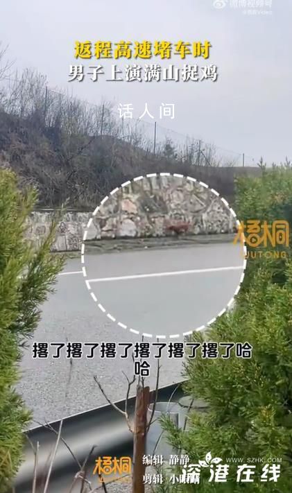 返程高速堵車時男子上演滿山捉雞 根本抓不住實在太難了