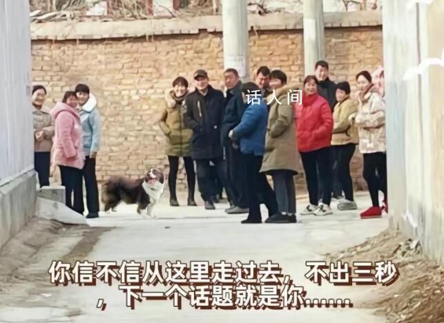 青年外出打工3年被傳“已被槍斃” 農(nóng)村碎嘴子現(xiàn)象已然有了相對(duì)普遍性和鮮明的社會(huì)性