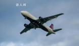 達(dá)美航空就“客艙鬧蛆”道歉 有的甚至掉到乘客頭上
