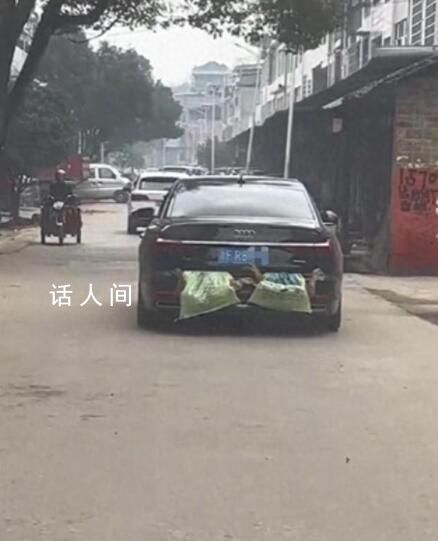 女子返程 車尾掛著媽媽養的4只鴨