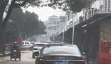 女子返程 車尾掛著媽媽養的4只鴨